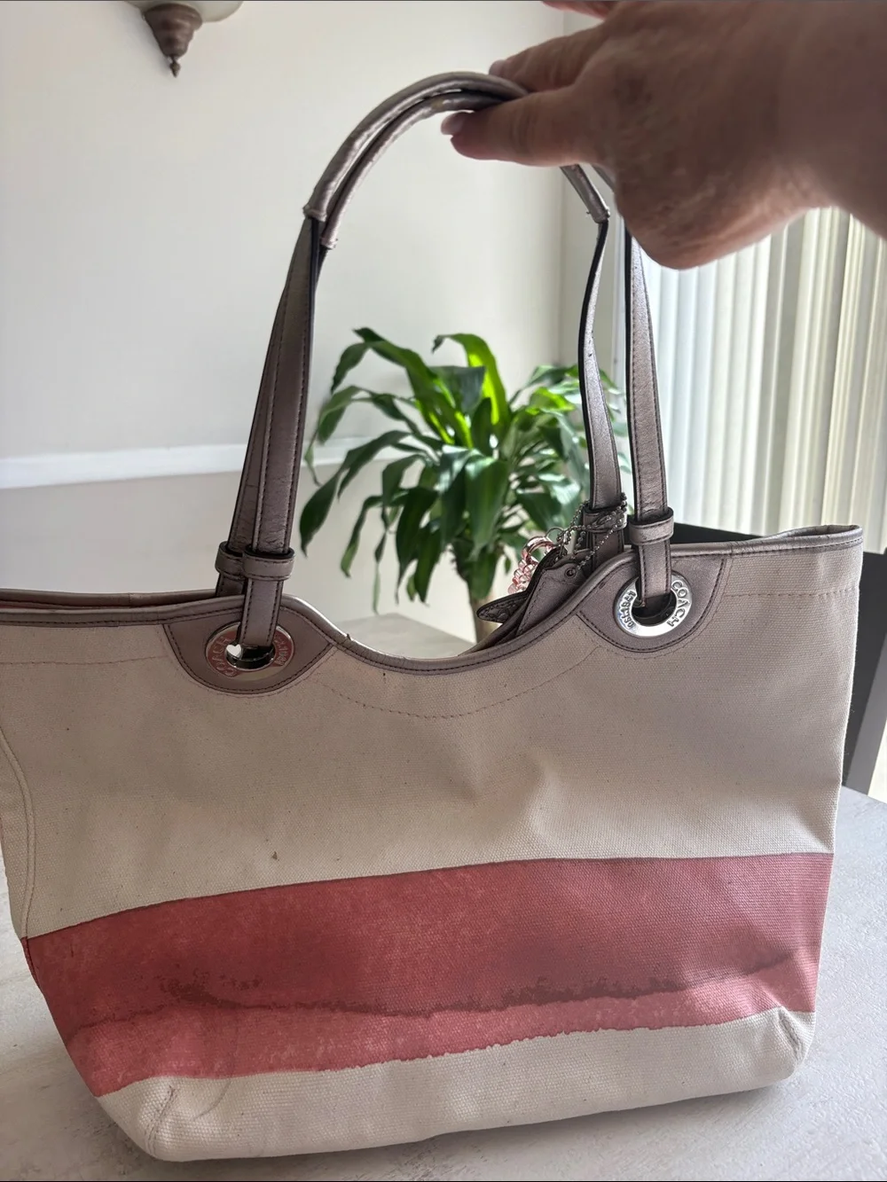 Coach Canvas Tote with Taupe Star Charm and Rose Gold Script